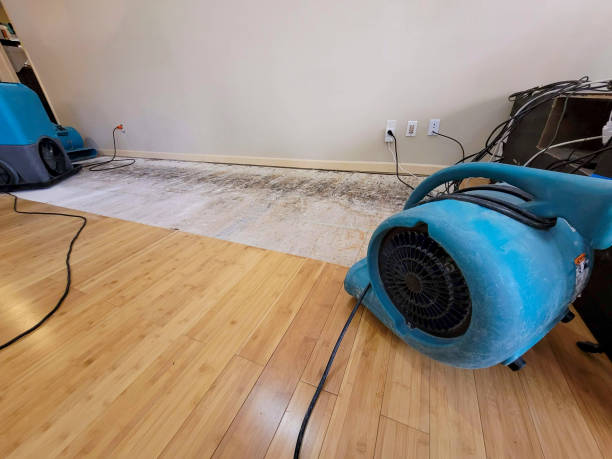 Reliable Basement Flood Cleanup contractor in Lansing, KS by Hirex Water Damage