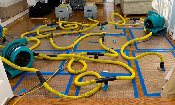 Professional Basement Flood Cleanup technician working in Lansing, KS